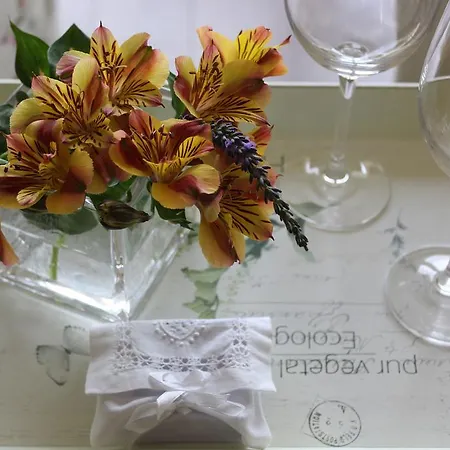 Haus Kallenberg Homestay szállás